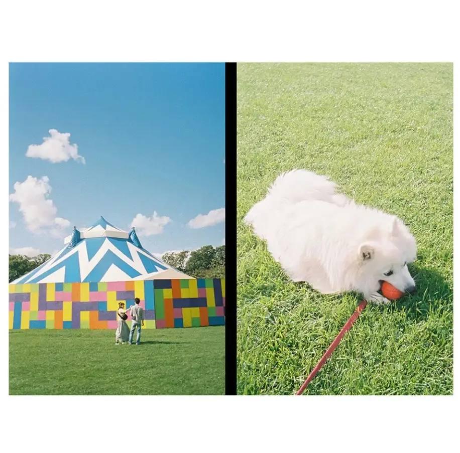 Фотоаппарат пленочный Kodak EKTAR H35N BT21 Edition - фото 7