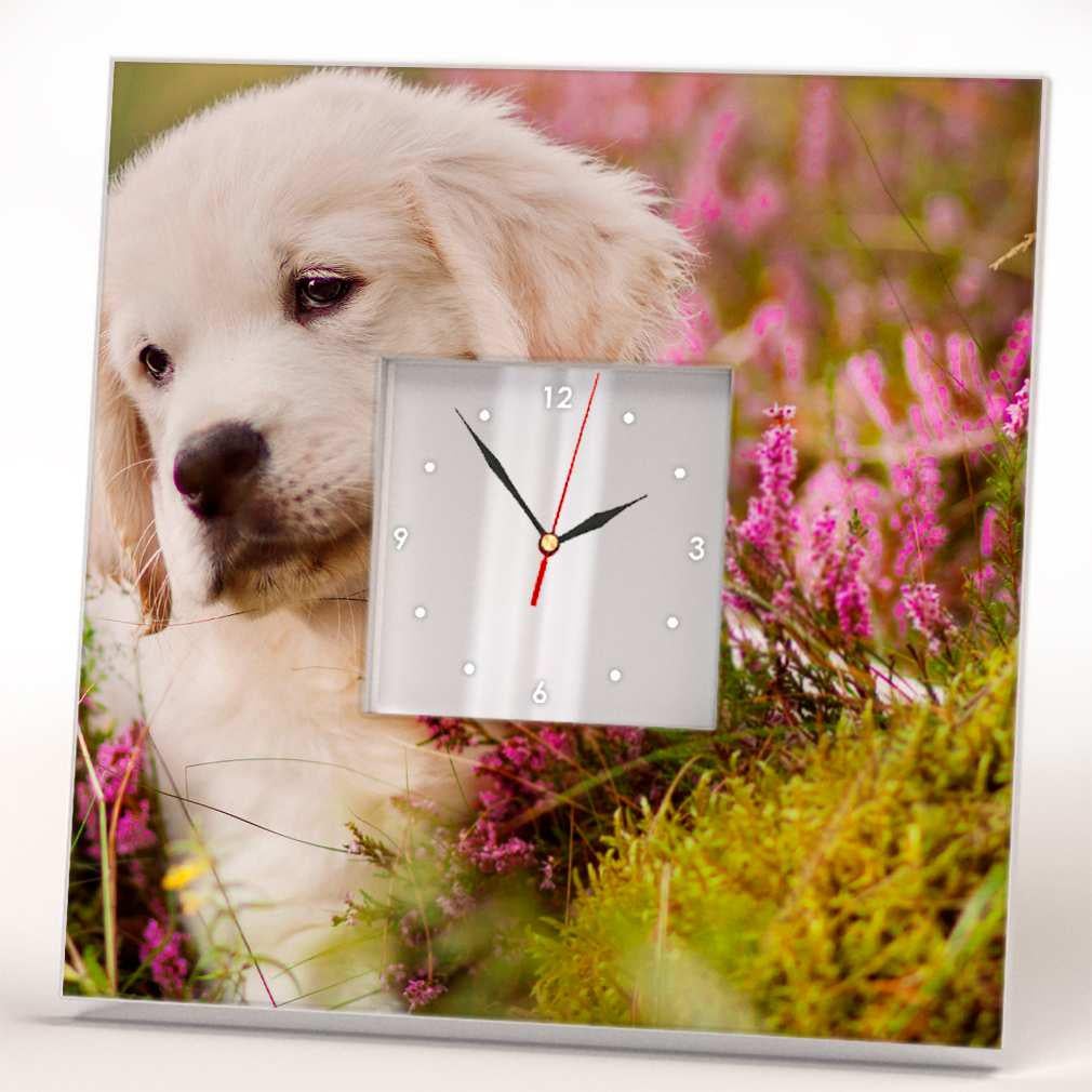 Часы настенные оригинальные WonderCloud золотой ретривер 260x260 мм (C03734)