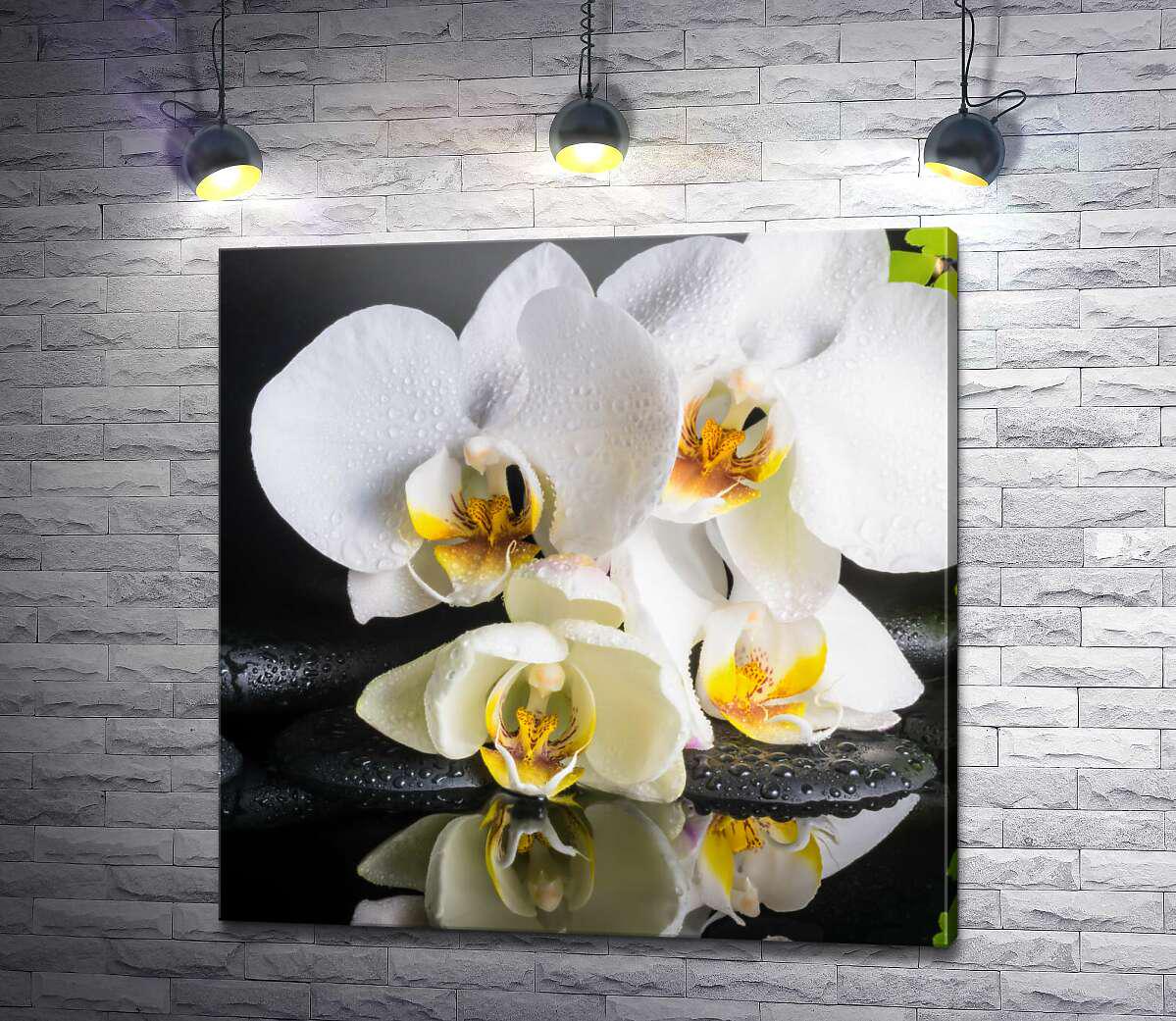 Картина ArtPoster Нежная белая орхидея на спа камнях 130x130 см Модуль №1 (004416)