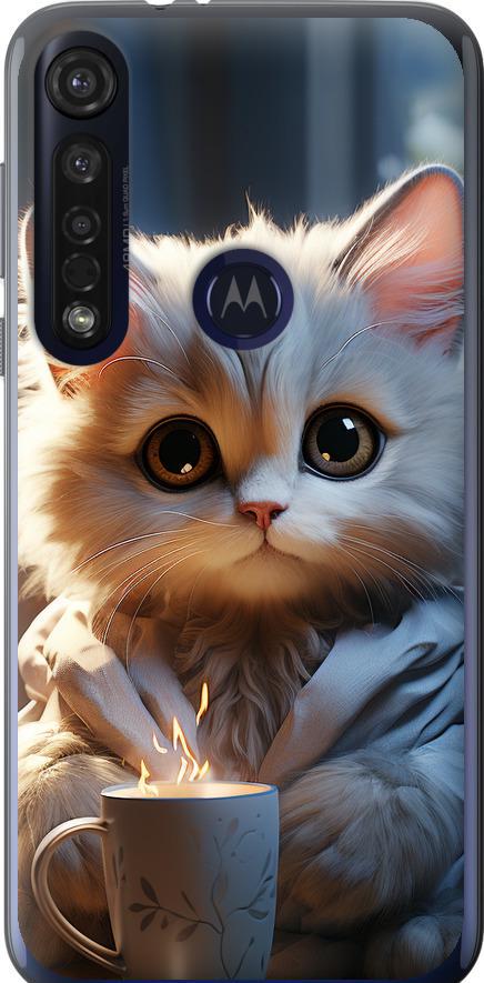 Чехол на Motorola G8 Plus White cat (5646u-1837-42517) Чехол на Motorola G8 Plus White cat (5646u-1837-42517)