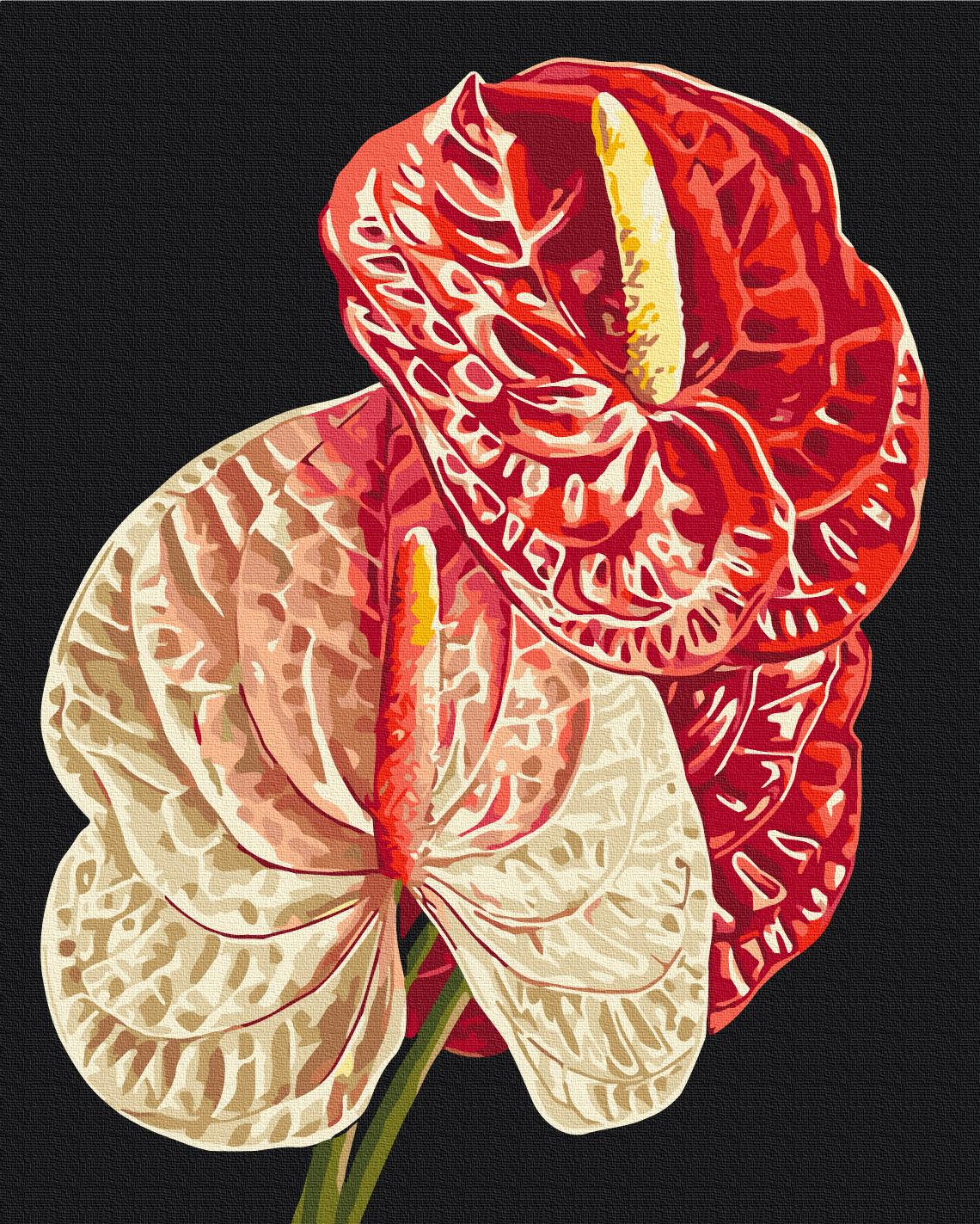 Картина по номерам Brushme Антуриум 40x50 см (BS54136)