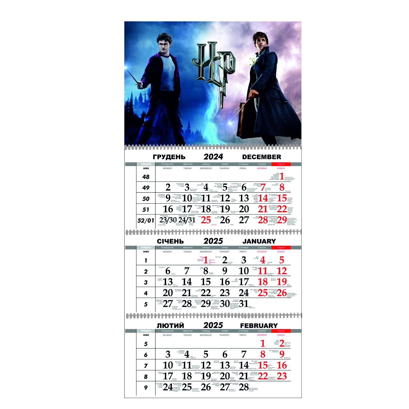 Календарь настенный Гаррі Поттер на 2025 год квартальный (21822062)