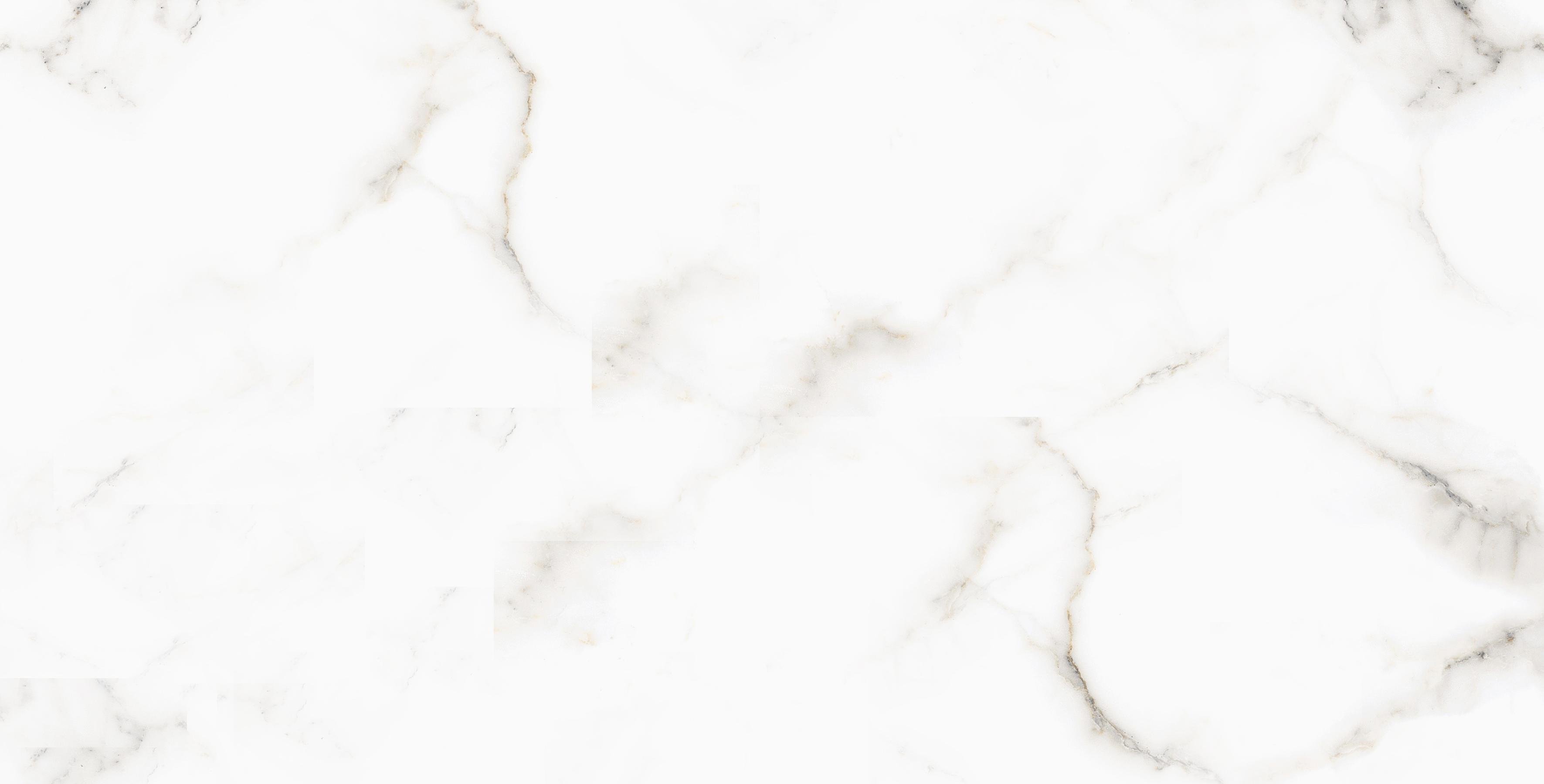 Плитка для пола и стен CARRARA 120х60 см (7343)