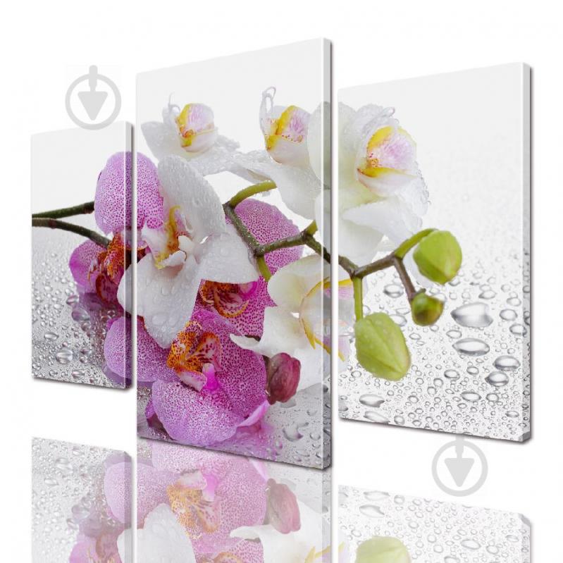 Модульная картина ArtStar цветы Ветка Орхидеи ADFL0024 размер 120 х 180 см