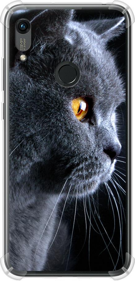 Чехол на Huawei Y6s Красивый кот (3038sp-1871-42517)