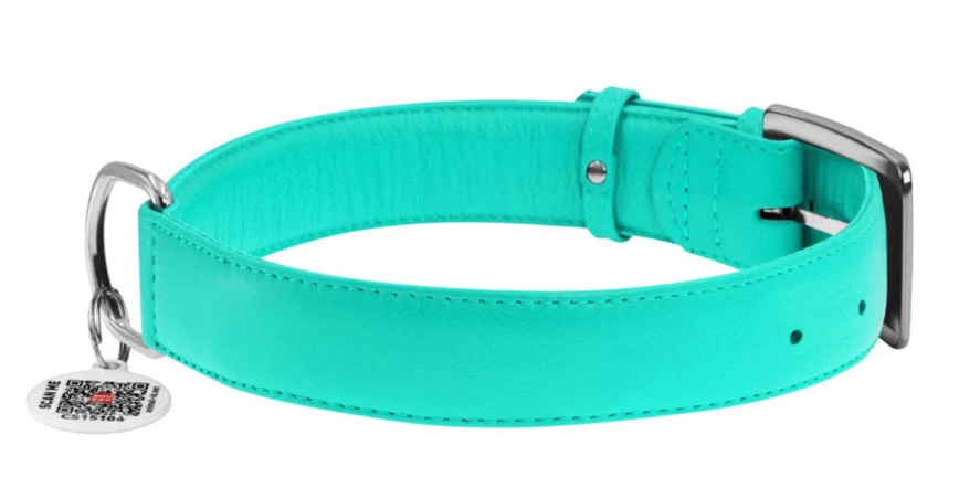 Ошейник для собак кожаный WAUDOG Glamour с QR паспортом без украшений L 25 мм 38-49 см Ментоловый (Collar330413)