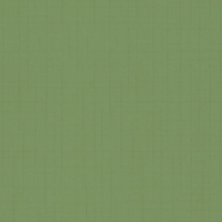 Обои виниловые на флизелиновой основе Marburg Dieter Langer TANGO Зеленый (58863) Обои виниловые на флизелиновой основе Marburg Dieter Langer TANGO Зеленый (58863)