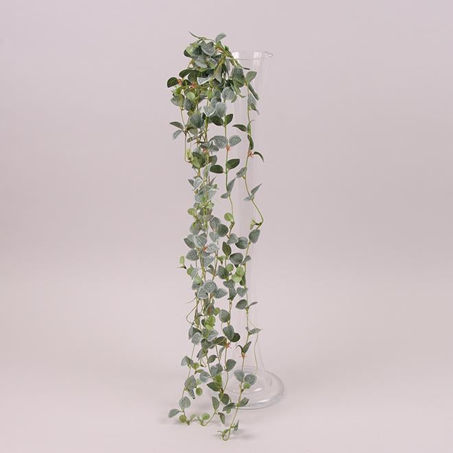 Букет Flora Плющ декоративный свисающий (72535) Букет Flora Плющ декоративный свисающий (72535)