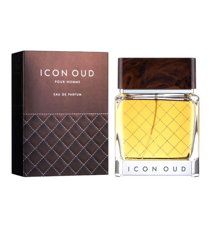Парфюмированная вода мужская FLAVIA ICON OUD man EDP 100 мл (0006)