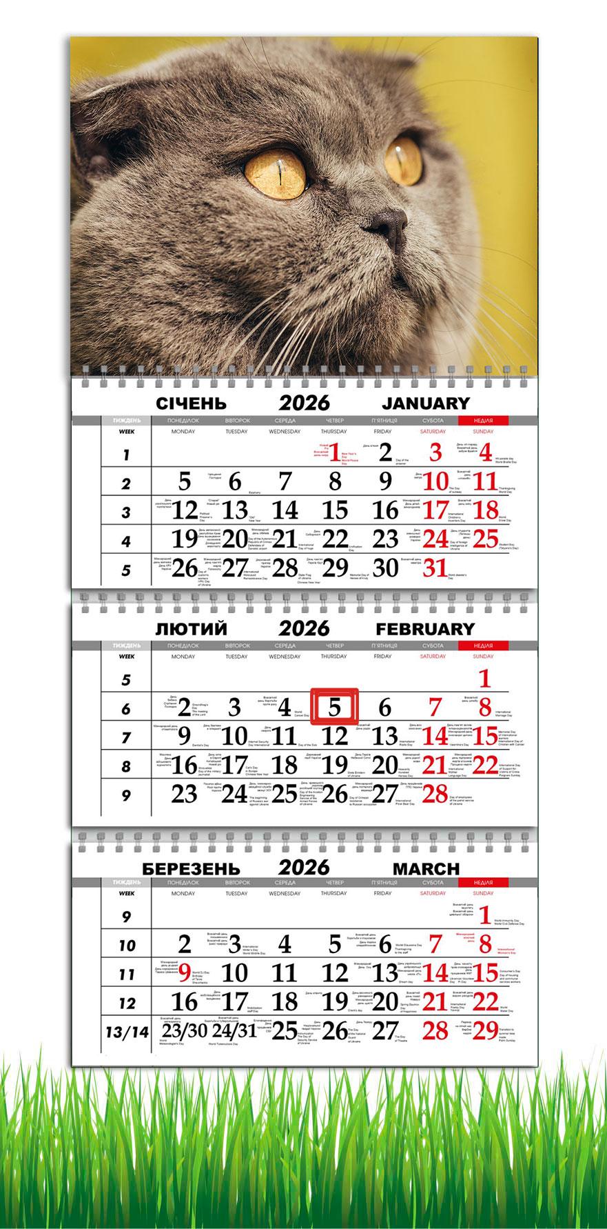 Календар настінний квартальний на 2026 рік APRIORI Кіт Британець на 3 пружини 30х61 см (29110811)