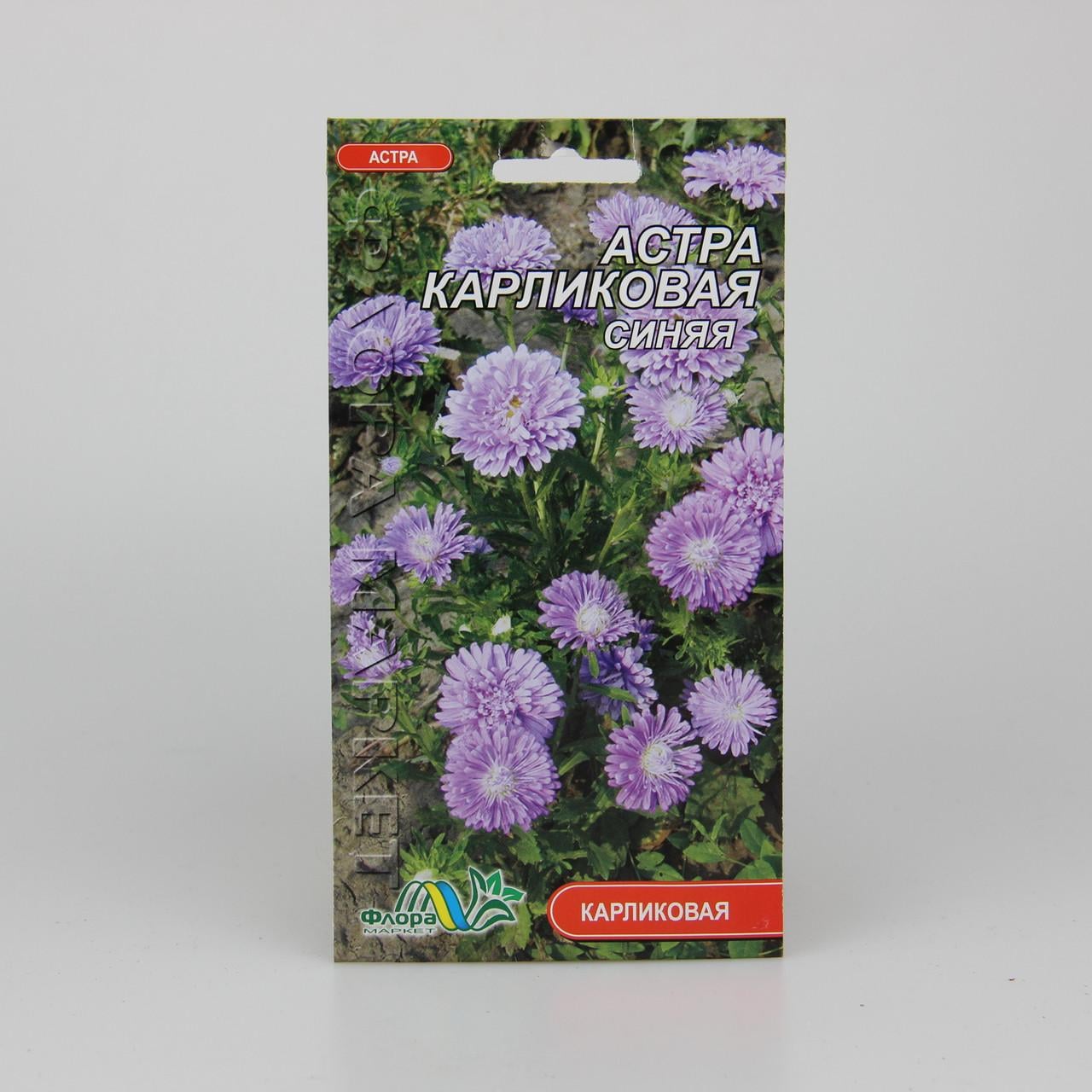 Насіння Астра Карликова синя 0,3 г (25838)