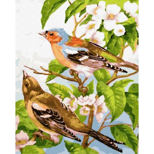Картина по номерам Brushme GX32145 Весенние птички 40x50 см (1395998851)