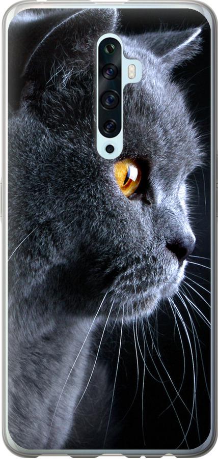 Чохол на Oppo Reno 2Z Гарний кіт (3038u-1867-42517)