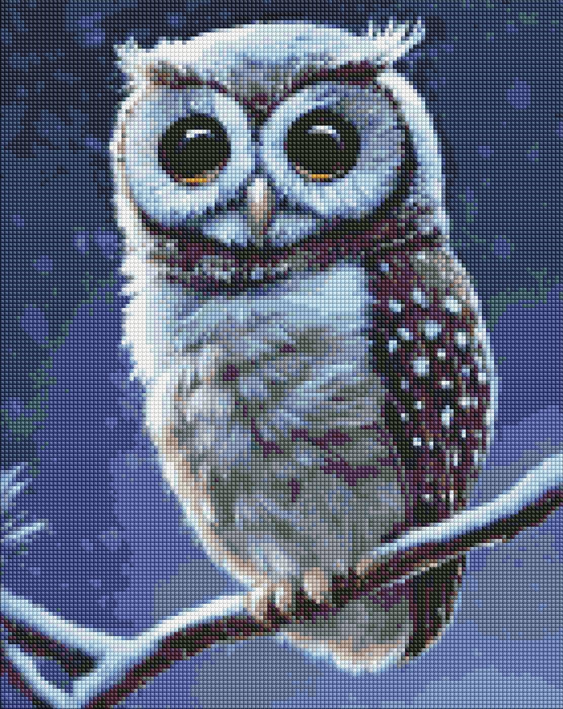 Набір з алмазною мозаїкою Ideyka Лісова совушка AMO7413 40x50 см (MTT-158135)