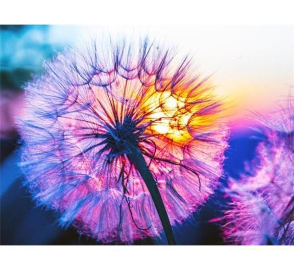 Алмазна вишивка мозаїка Diy Кульбаба 30х40 см DZDP1239