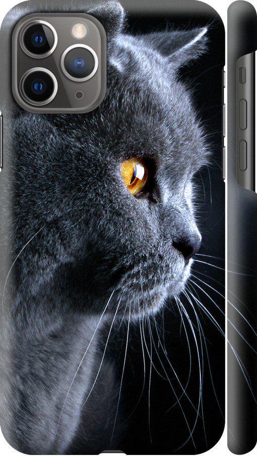 Чехол на iPhone 11 Pro Красивый кот (3038m-1788-42517) Чехол на iPhone 11 Pro Красивый кот (3038m-1788-42517)