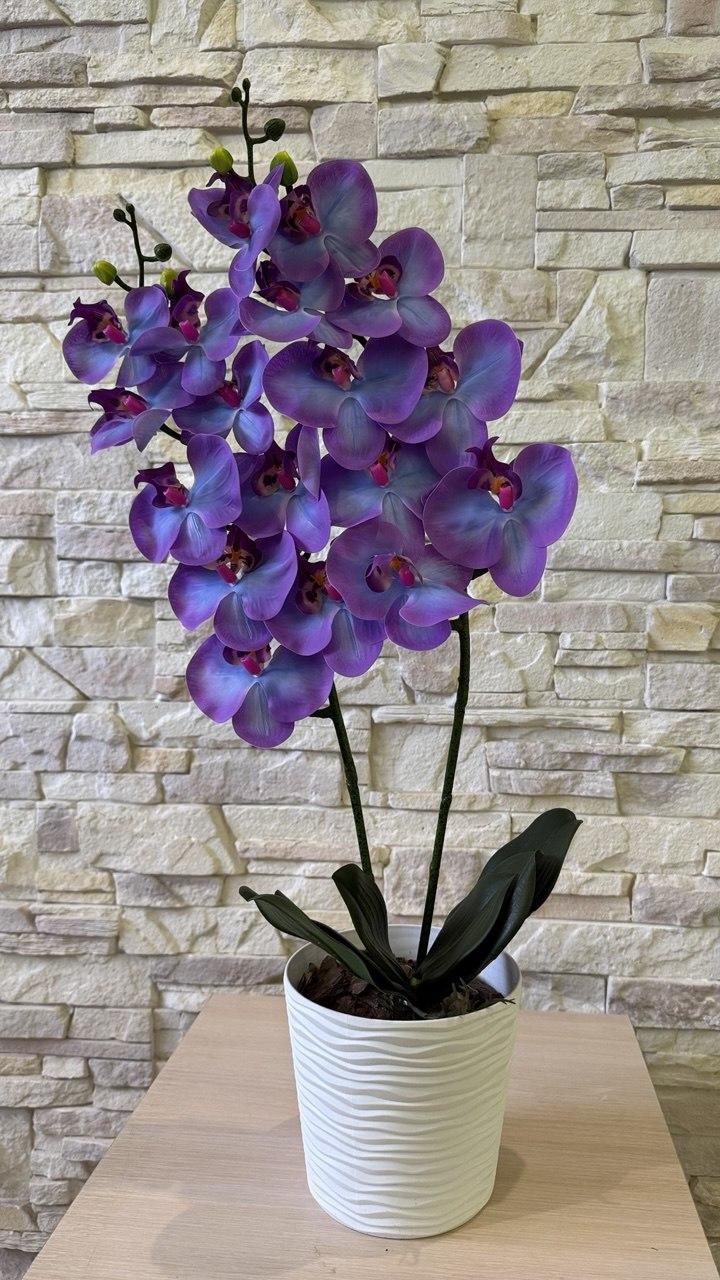 Вазон орхідея ПЛАСТМАКС латексна на дві гілки Фіолетовий (O25) - фото 2