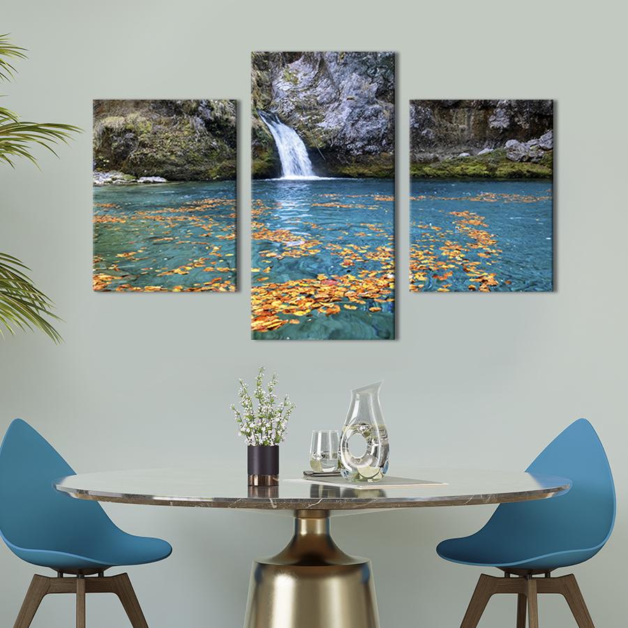 Модульная картина на холсте Триптих Листья на поверхносте воды 66x40 см (625-32)