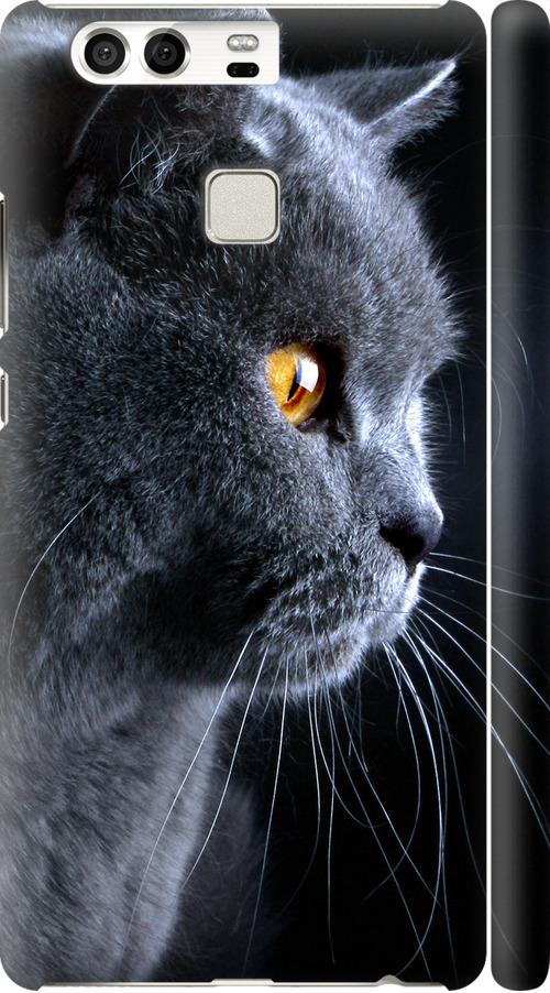Чехол на Huawei P9 Красивый кот (3038c-347-42517)
