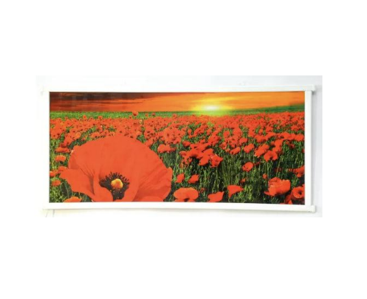 Инфракрасный обогреватель-панель Сейм Картина Маки 200 Вт Красный (su-10001)