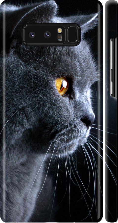 Чехол на Samsung Galaxy Note 8 Красивый кот (3038m-1020-42517)