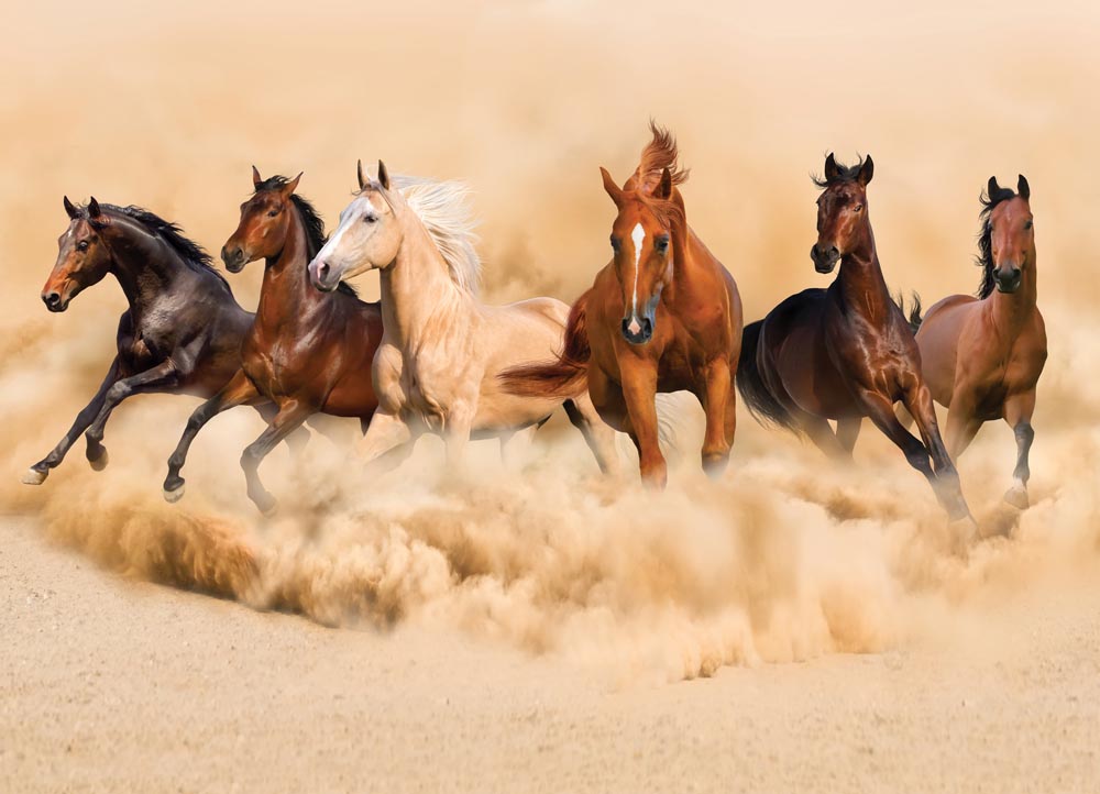 Фотообои WS Wallpaper Лошади 360x260 см (31129)