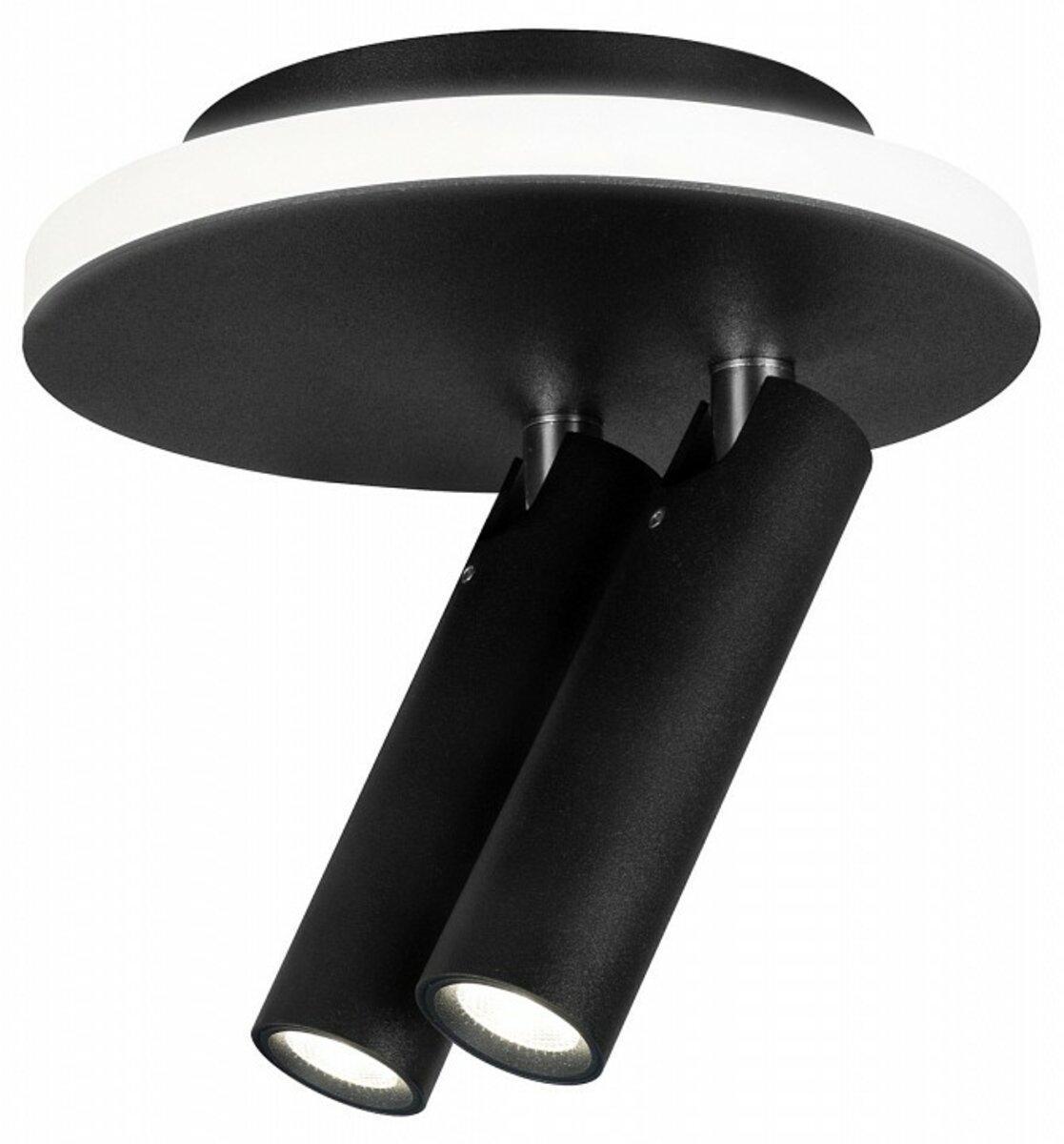 Светильник спот LED Sirius с поворотными плафонами 16W Черный (RT551-2 BK) - фото 2 Светильник спот LED Sirius с поворотными плафонами 16W Черный (RT551-2 BK) - фото 2