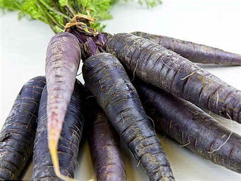 Семена Морковь черная Pastenaga negra 50 шт./уп. Семена Морковь черная Pastenaga negra 50 шт./уп.