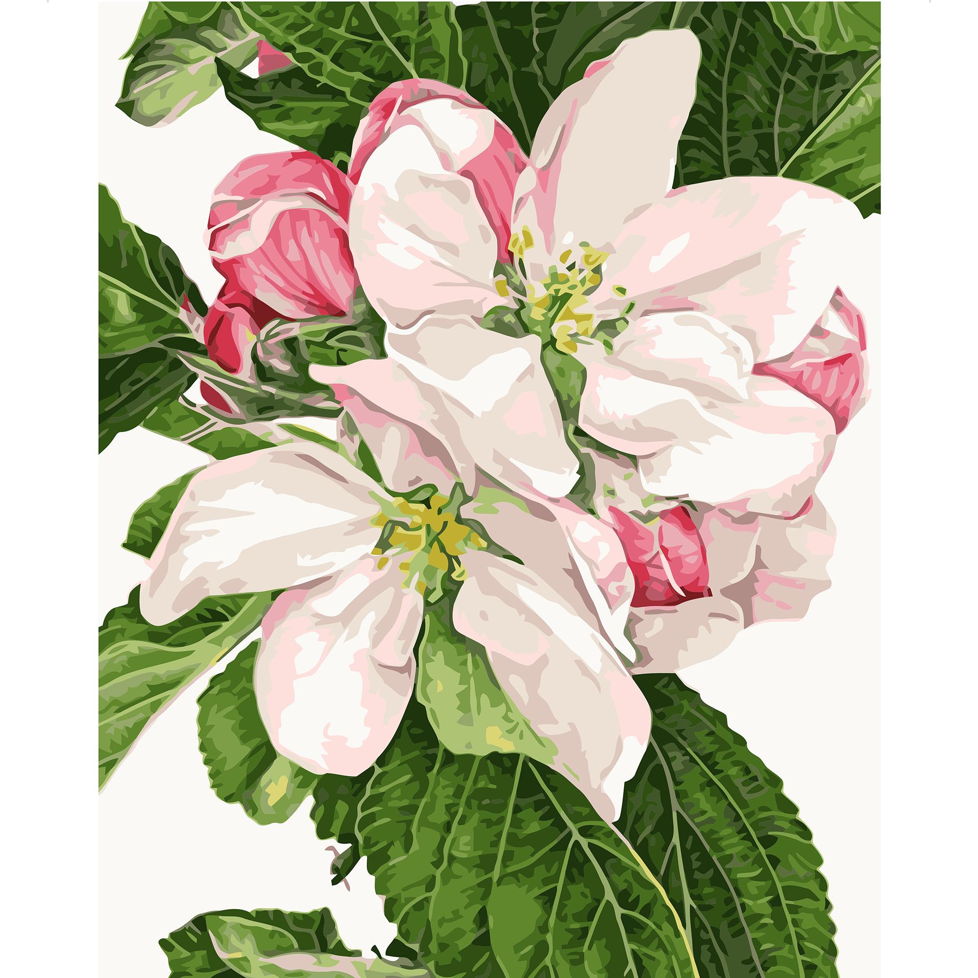 Картина по номерам Strateg Яблочный цвет 40x50 см (VA-0819)