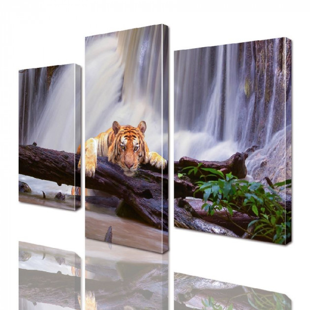 Картина модульная ArtStar Тигр ADJ0126 150х180 см 3 части
