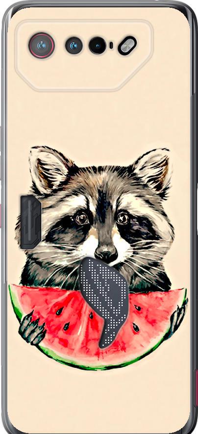 Чехол на Asus Rog Phone 7 Енотик с арбузом (4605u-3405-42517)
