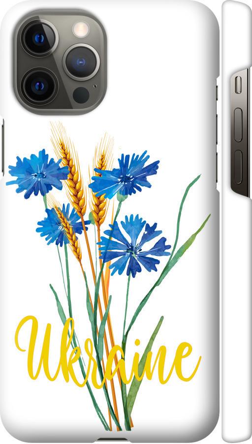 Чехол на iPhone 12 Pro Max Ukraine v2 (5445c-2054-42517) Чехол на iPhone 12 Pro Max Ukraine v2 (5445c-2054-42517)