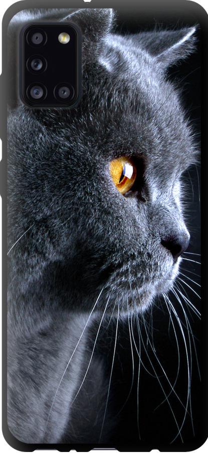 Чехол на Samsung Galaxy A31 A315F Красивый кот (3038b-1908-42517)