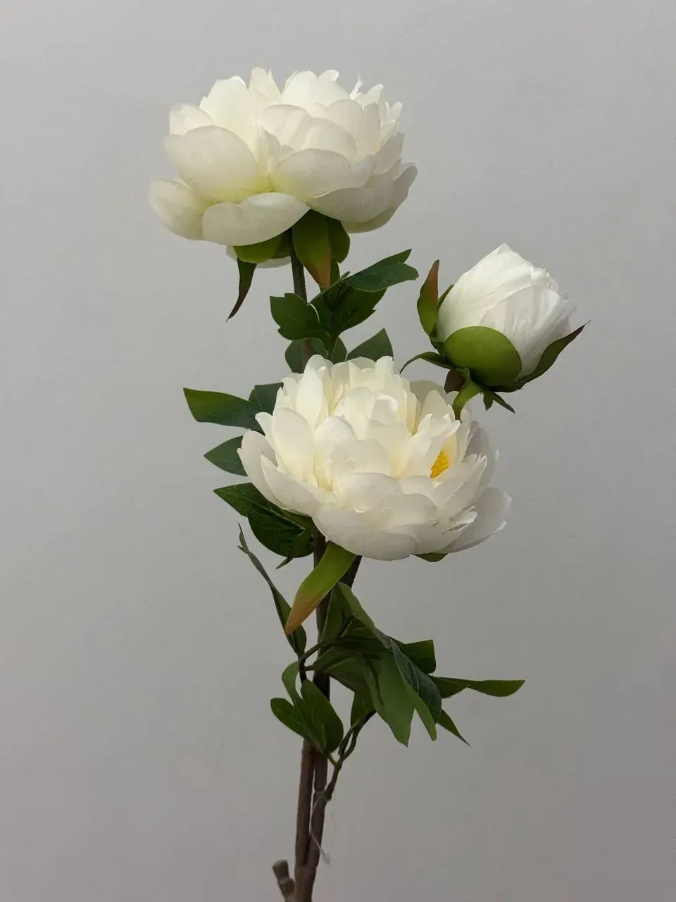Штучна текстильна півонія 2 квітки 1 бутон на гілці 78 см Білий (P0027)