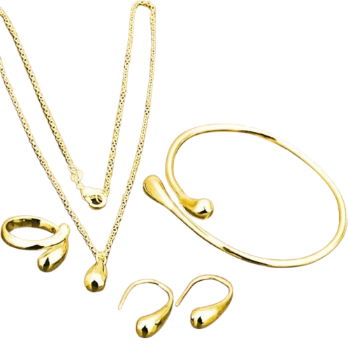 Набір прикрас ланцюжок/браслет/сережки/каблучка (Б71)