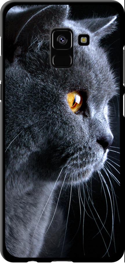 Чехол на Samsung Galaxy A8 Plus 2018 A730F Красивый кот (3038b-1345-42517)