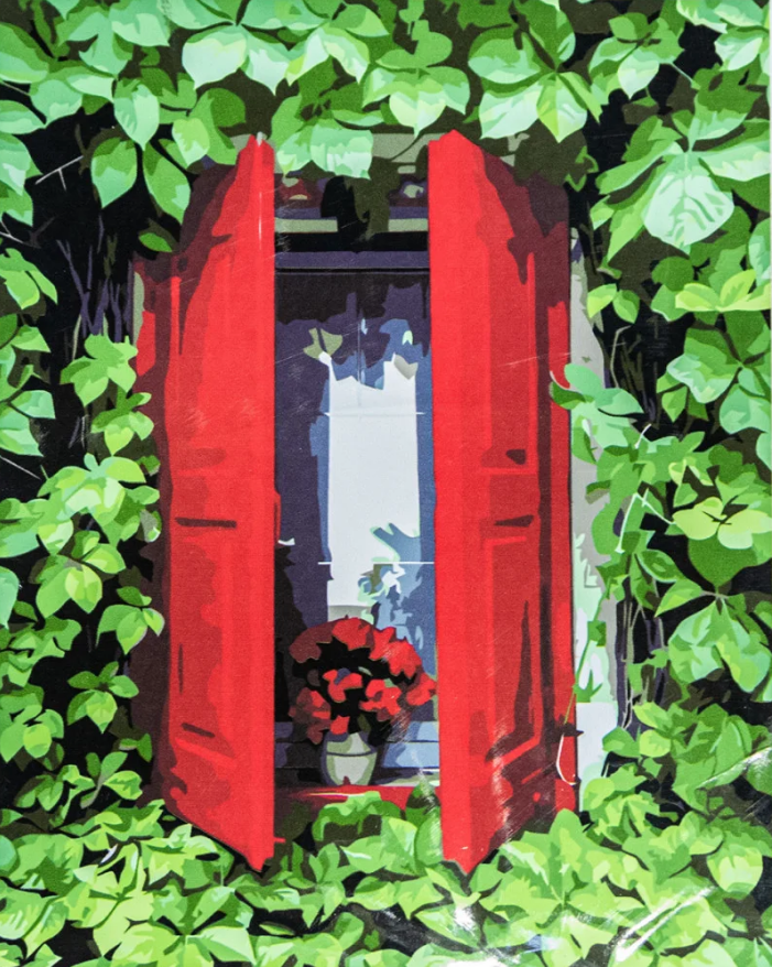 Картина по номерам Strateg Красные ставни 40x50 см (VA-3382)