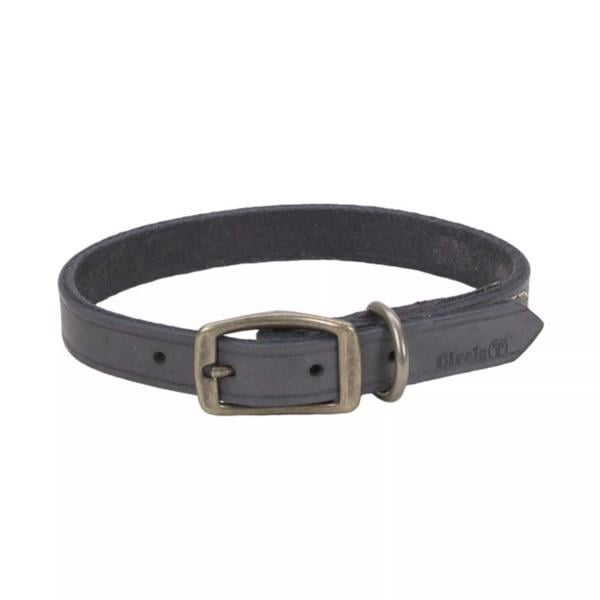 Нашийник шкіряний для собак Coastal Rustic 2х45 см (03116_SLG18)