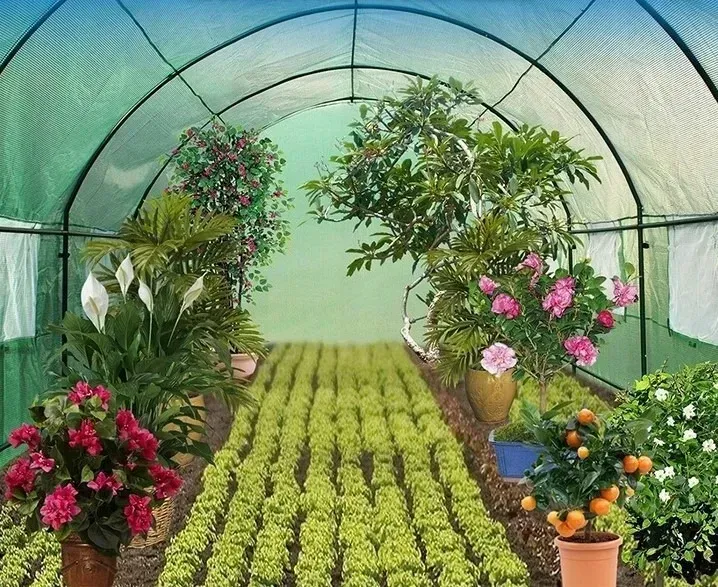 Теплица арочная под пленку с окнами VOLSO POLSKA 4х2,5х2 м Зеленый - фото 7 Теплица арочная под пленку с окнами VOLSO POLSKA 4х2,5х2 м Зеленый - фото 7