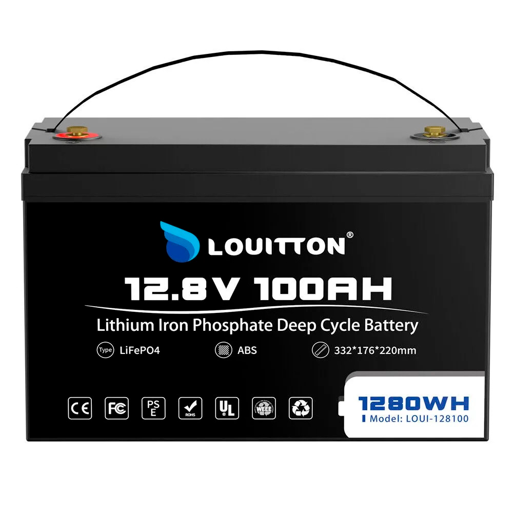 Аккумулятор Louitton LiFePO4 12V 100 Ач с зарядным устройством