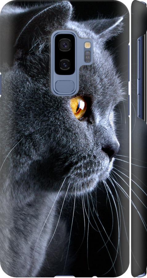 Чехол на Samsung Galaxy S9 Plus Красивый кот (3038m-1365-42517)