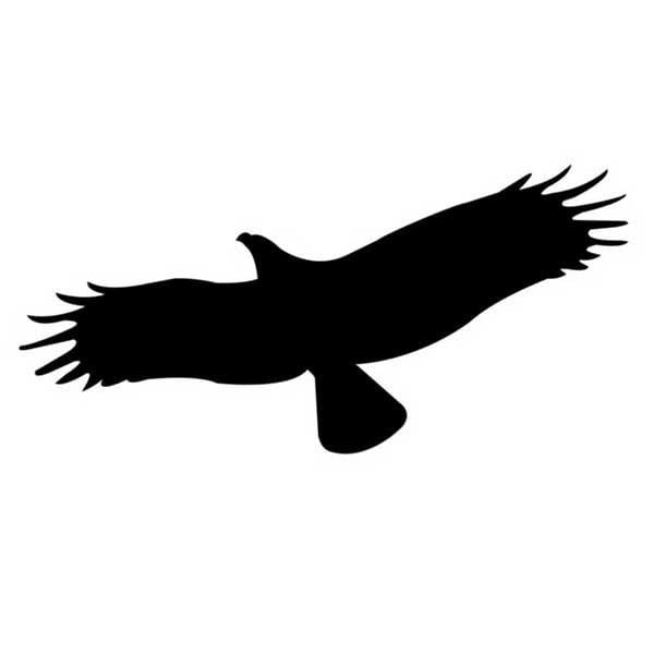 Наклейка на скло для відлякування птахів у вигляді хижого птаха 510х240х0,075 мм Наклейка на скло для відлякування птахів у вигляді хижого птаха 510х240х0,075 мм