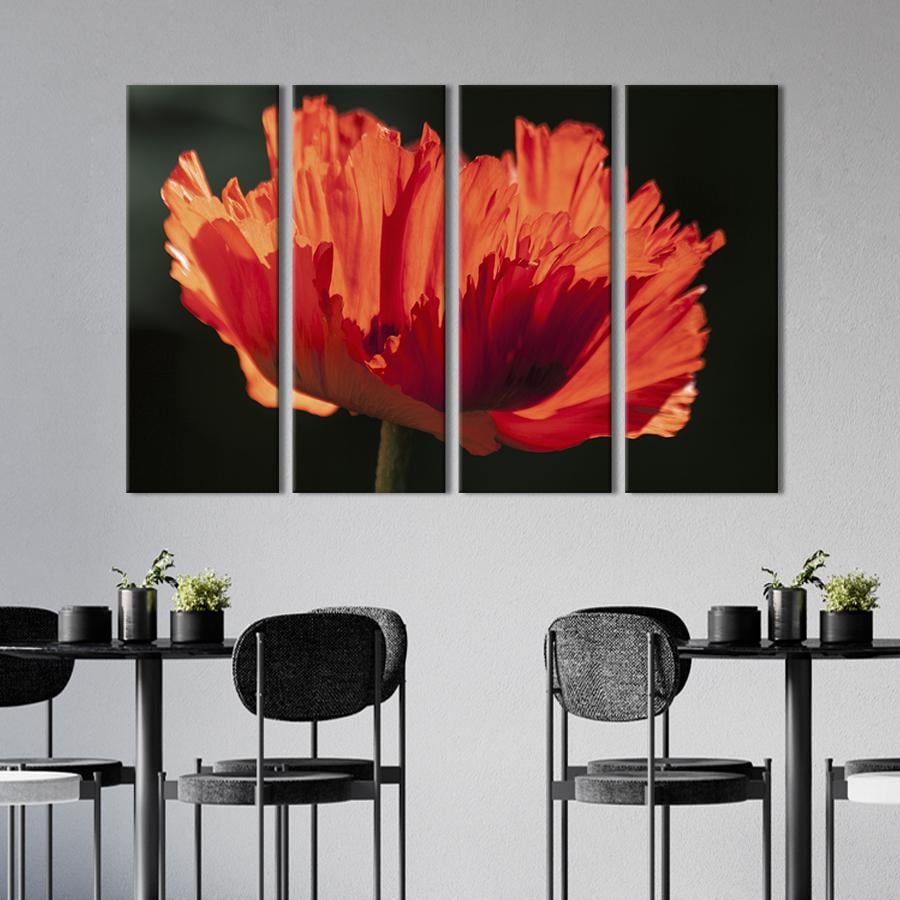 Картина на холсте Пушистый цветок мака 209x133 см (969-41) Картина на холсте Пушистый цветок мака 209x133 см (969-41)