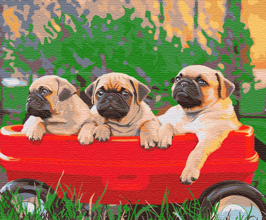 Картина по номерам Brushme BS51457 Мопси 40х50 см (1736968868)