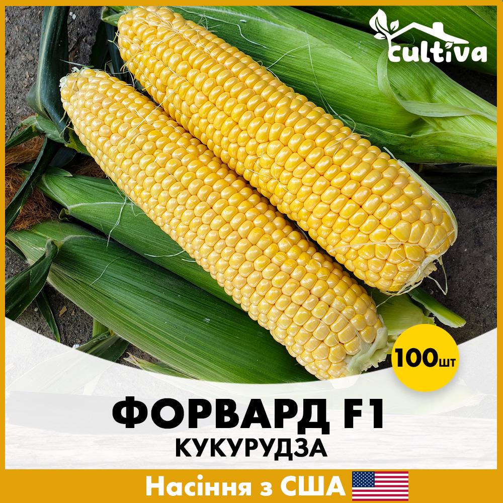 Семена кукурузы Spark Seeds Суперсладкая Форвард F1 100 шт. (jkl19-100)