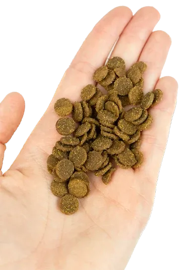 Корм сухий Lenda Mini Puppy First Bites для цуценят дрібних порід 2 кг (24064732) - фото 2 Корм сухий Lenda Mini Puppy First Bites для цуценят дрібних порід 2 кг (24064732) - фото 2