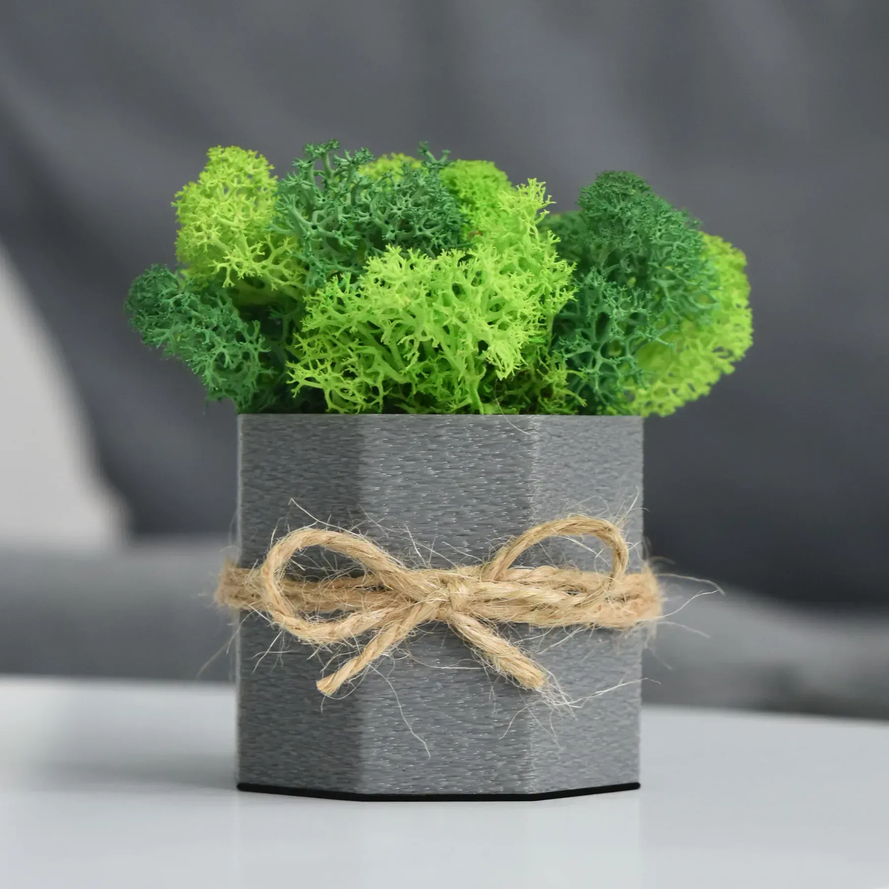 Кашпо Jungle со стабилизированным мхом Серый/Зеленый/Салатовый (KM-S-2)