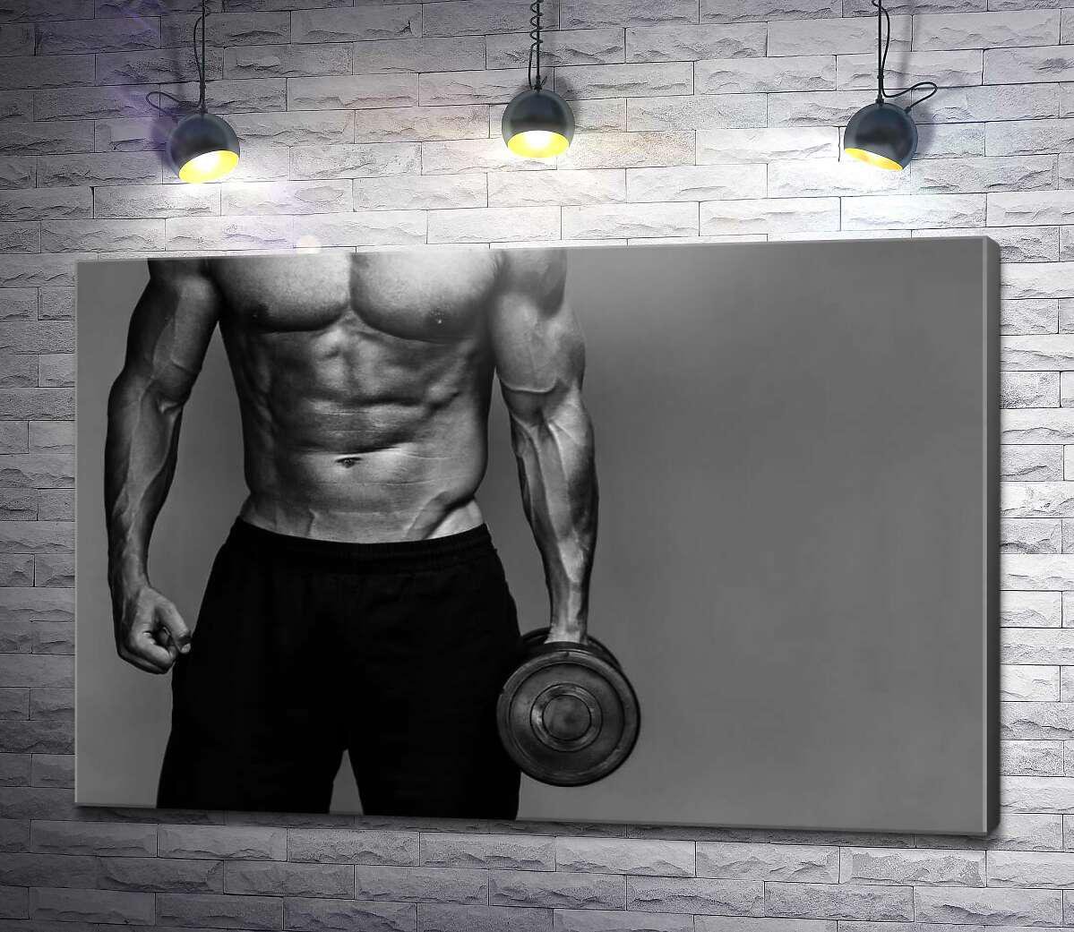 Картина ArtPoster Гантель в руке подтянутого спортсмена 100x67 см Модуль №1 (004494) Картина ArtPoster Гантель в руке подтянутого спортсмена 100x67 см Модуль №1 (004494)