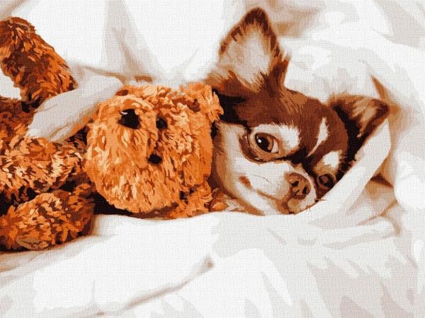 Картина по номерам Идейка Уютное утро 30х40 см в термопакете (КНО4268-mt)