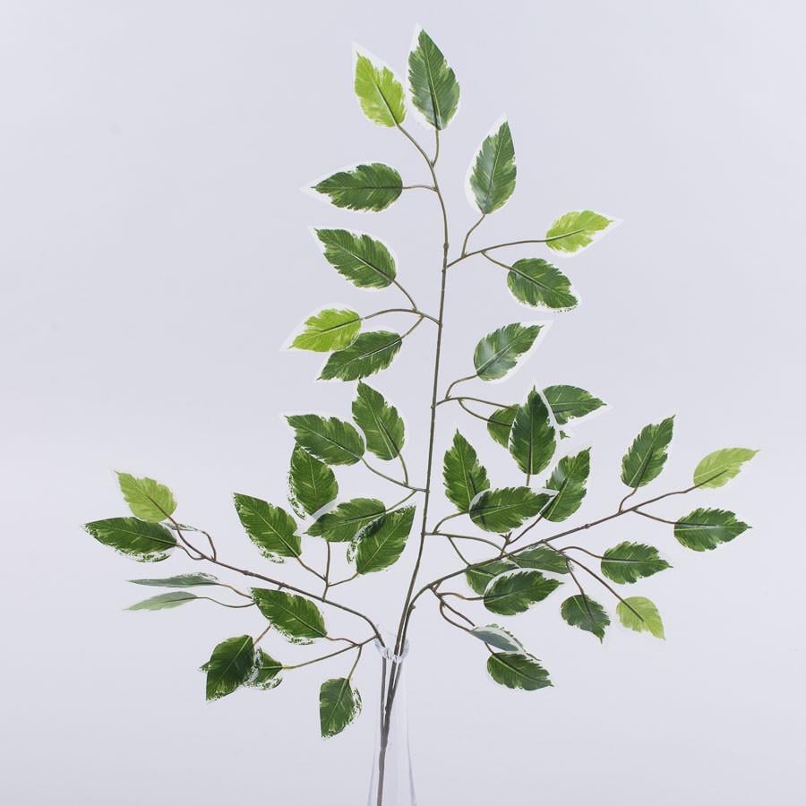 Ветка бенжамин большая (1504-1)